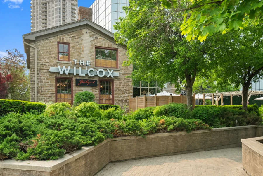 The wilcox gastropub (57) 2